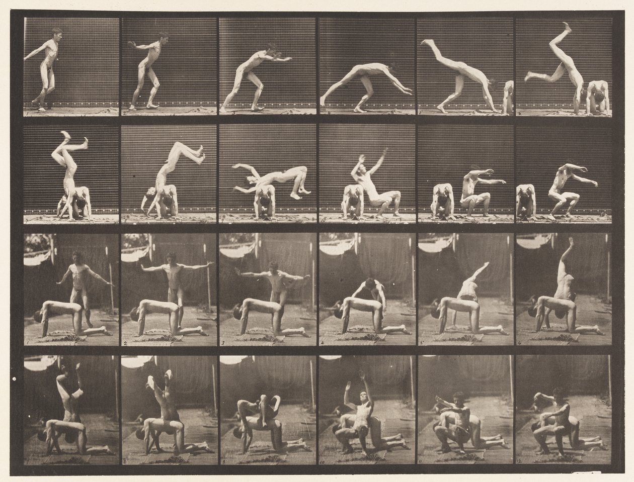 Tavle 364. Håndfjeder over Mandens Ryg af Eadweard Muybridge