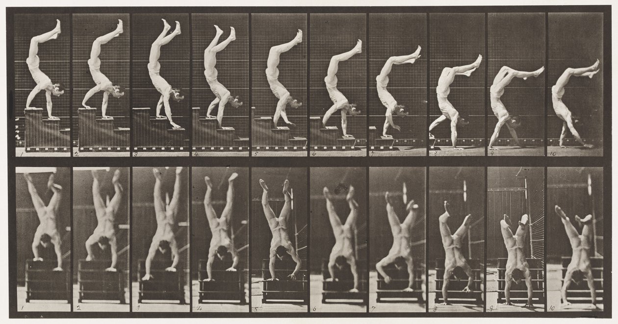 Tavle 368. Akrobat, nedadgående trapper på hænder af Eadweard Muybridge