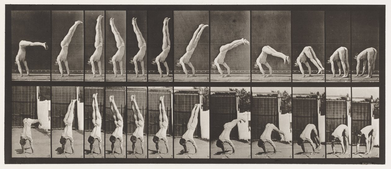 Plade 371. Acrobat, Lodret Tryk Op af Eadweard Muybridge