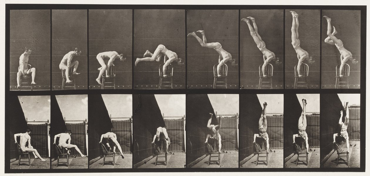 Plade 373. Akrobat, tryk op fra stolen af Eadweard Muybridge