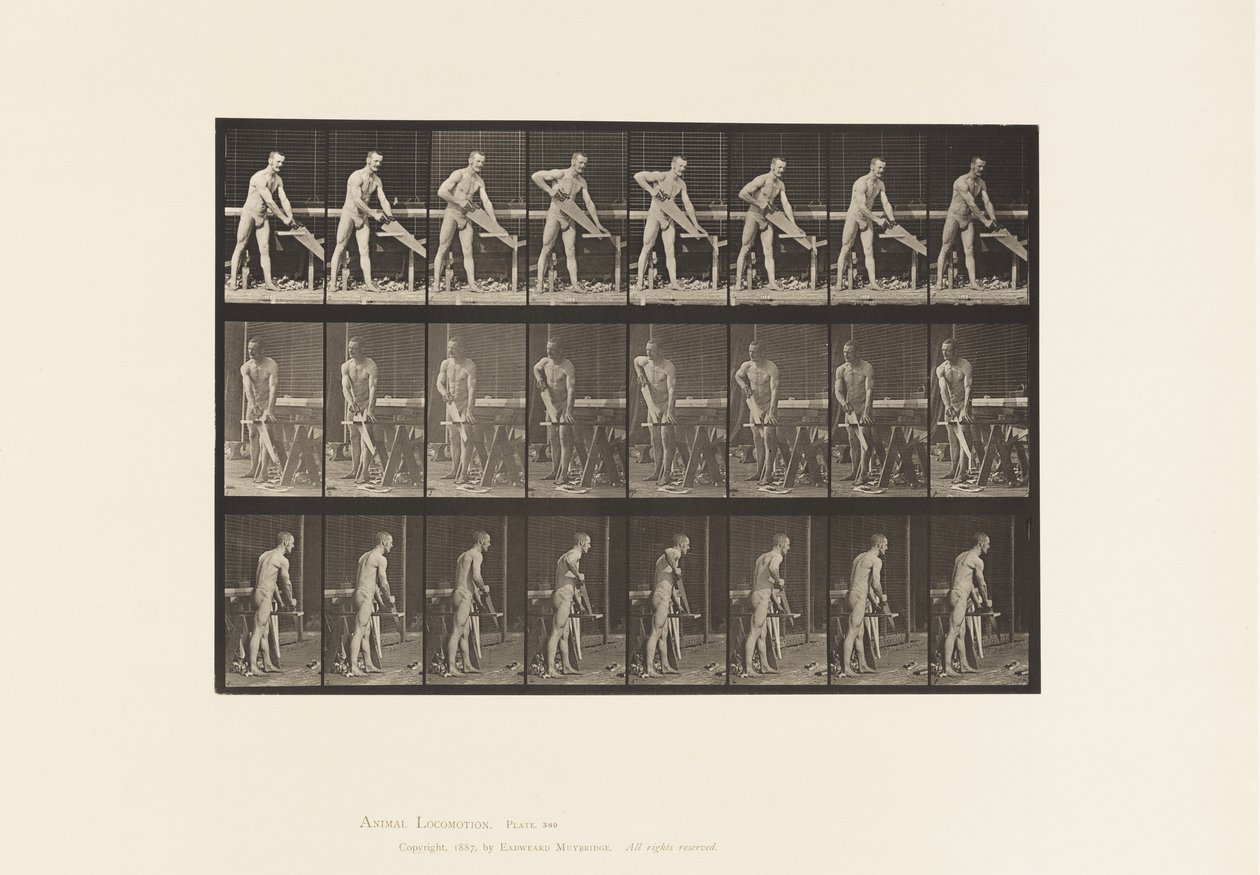 Tavle 380. Tømrer, Savning, 1872-1885 af Eadweard Muybridge