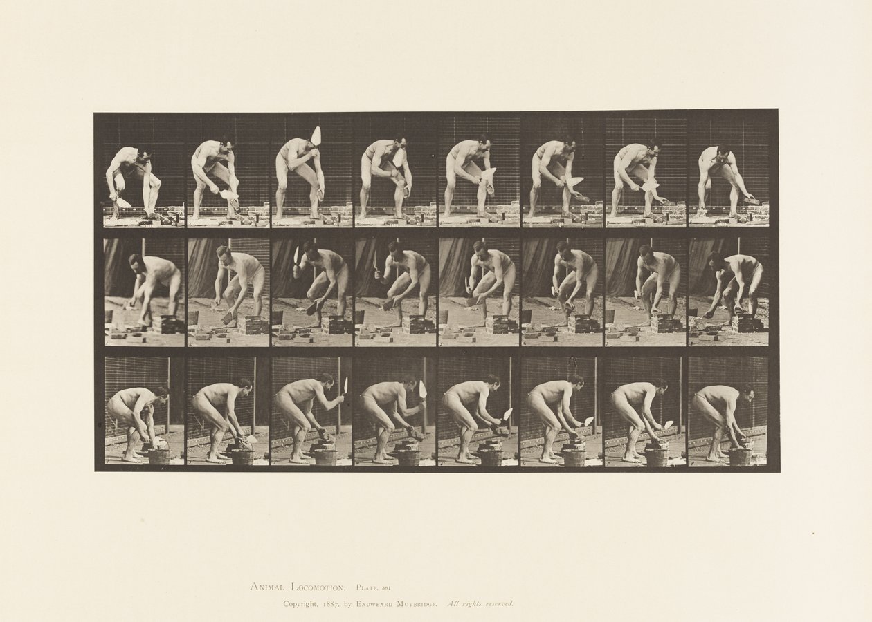 Tavle 381. Murer, At lægge en Mursten af Eadweard Muybridge