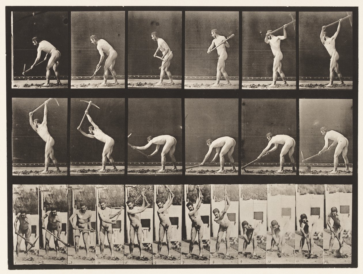 Tavle 385. Bonde, ved hjælp af en hakke, 1872-1885 af Eadweard Muybridge
