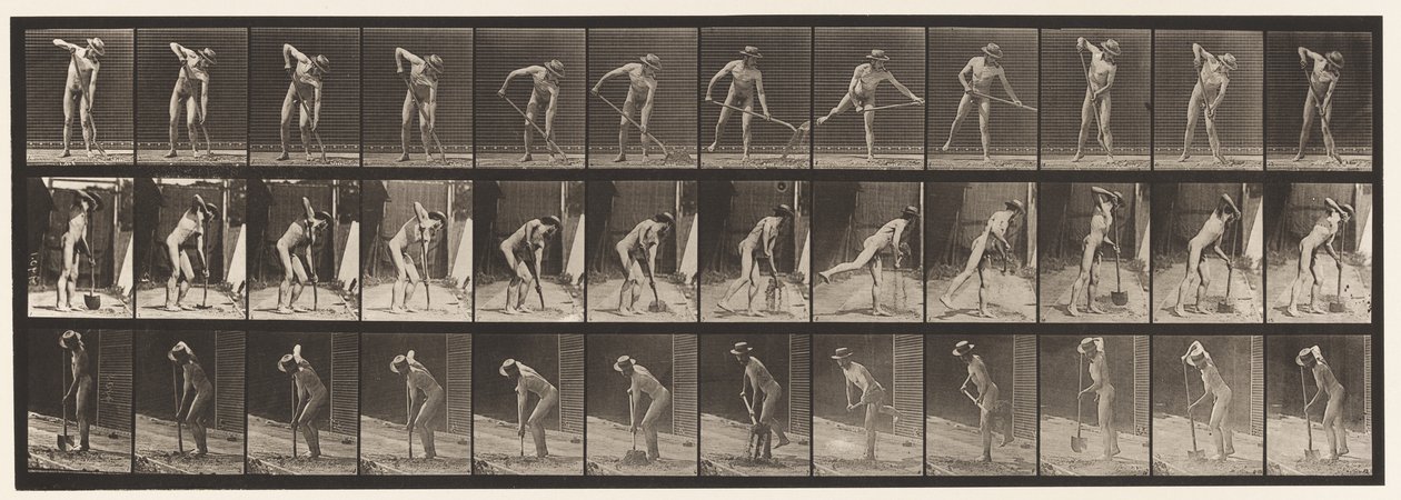 Tallerken 387. Bonde, ved hjælp af en langskaftet skovl af Eadweard Muybridge