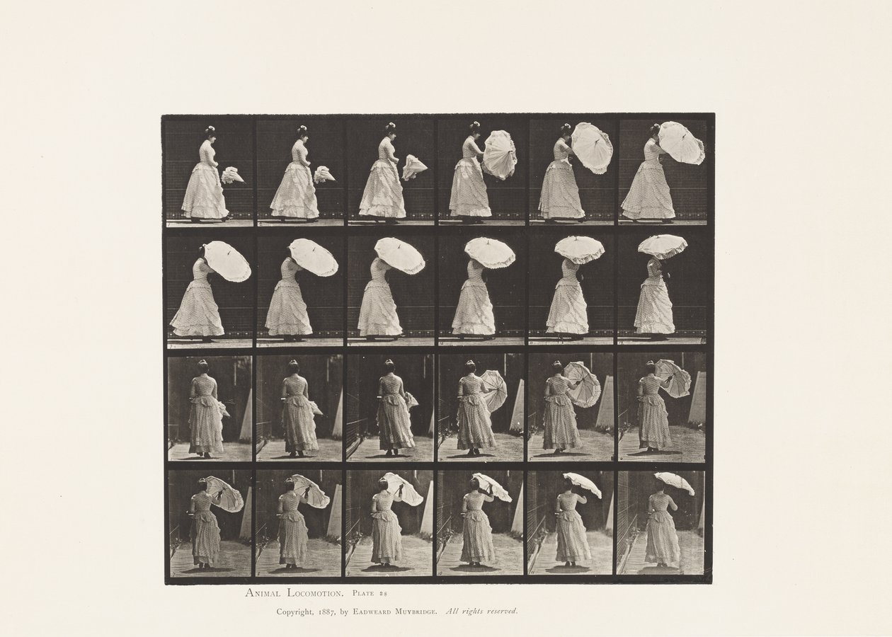 Tavle 38. Walking, åbningsparasol, 1885 af Eadweard Muybridge