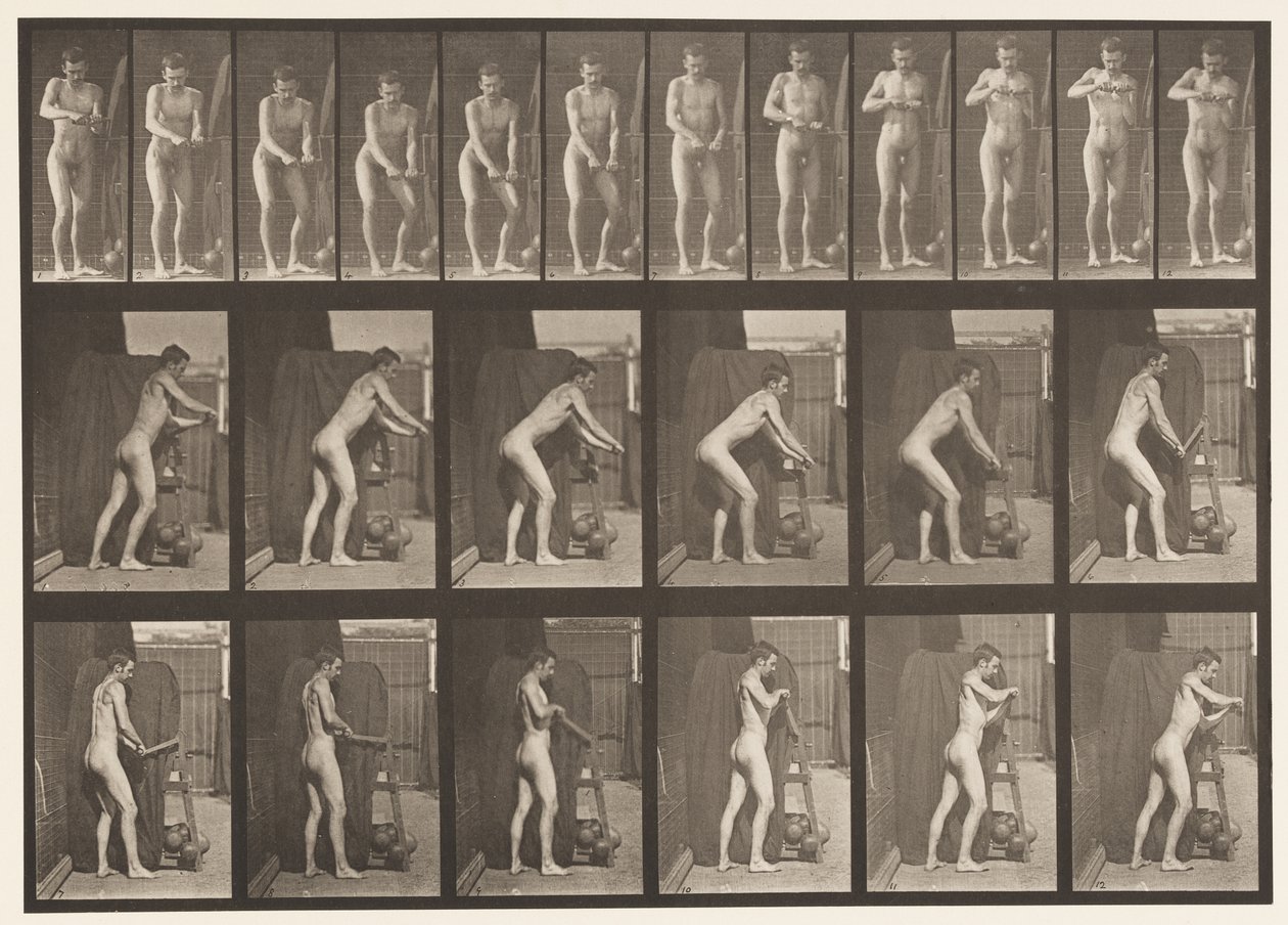 Plade 395. Drejning af et håndsving af Eadweard Muybridge