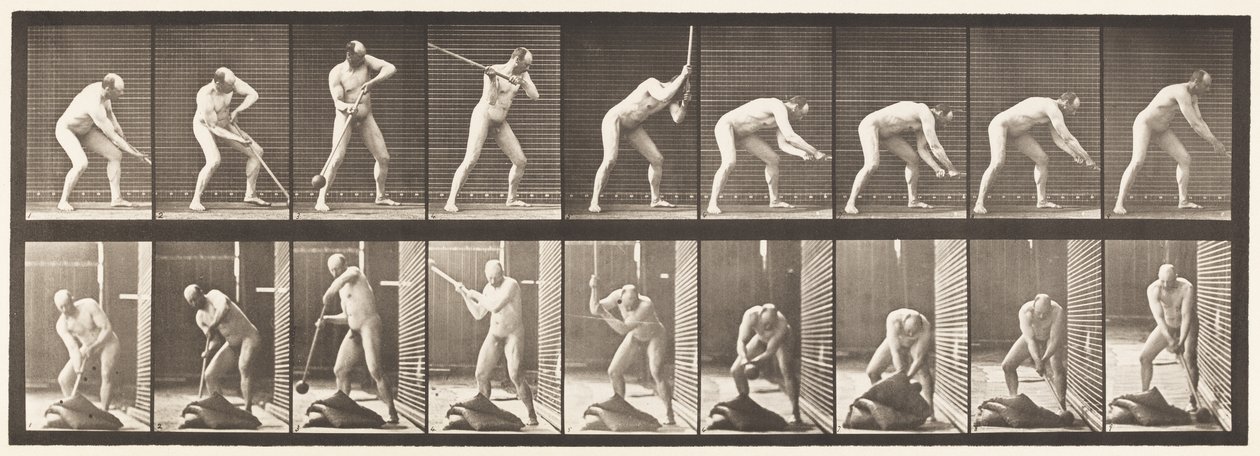 Tallerken 396. Dunkende med en Mallet af Eadweard Muybridge