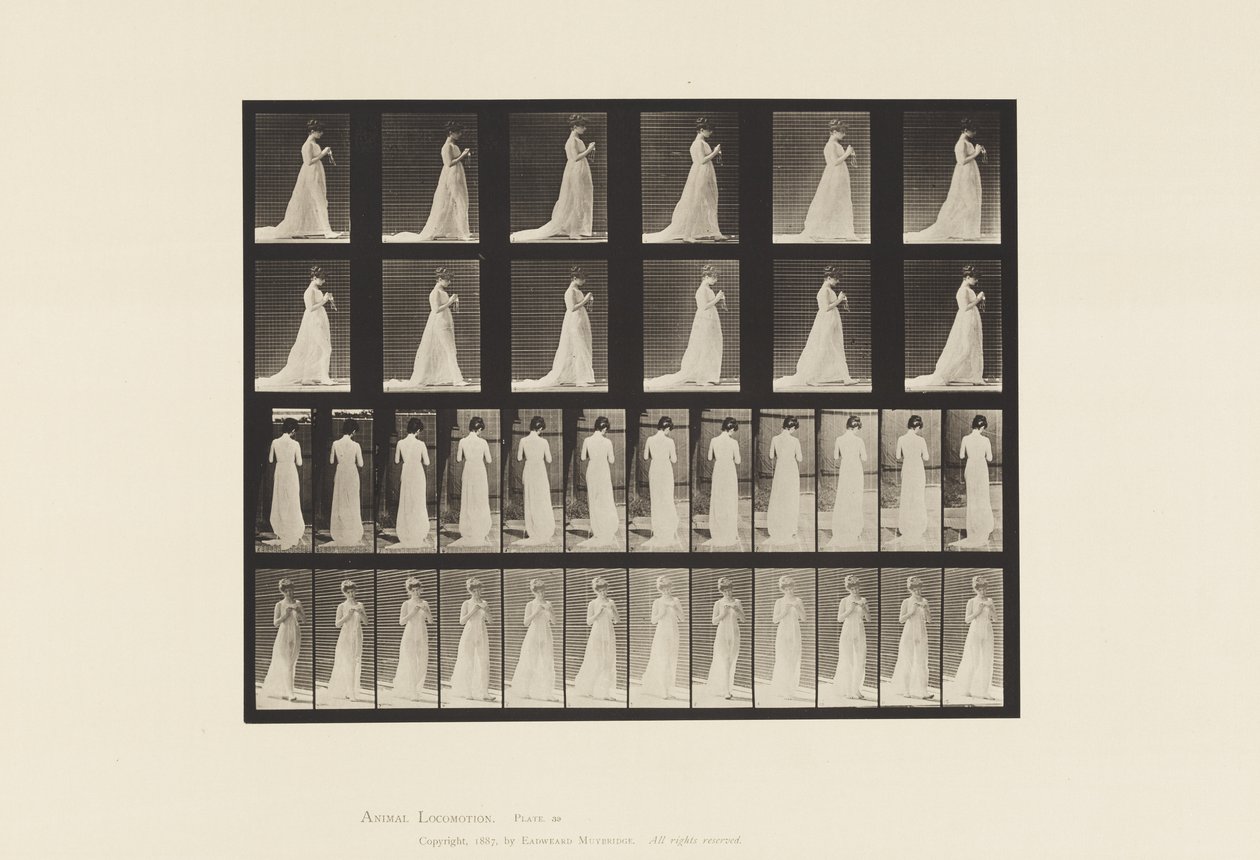 Plade 39. Gående, hænder beskæftiget med strikning, 1872-1885 af Eadweard Muybridge
