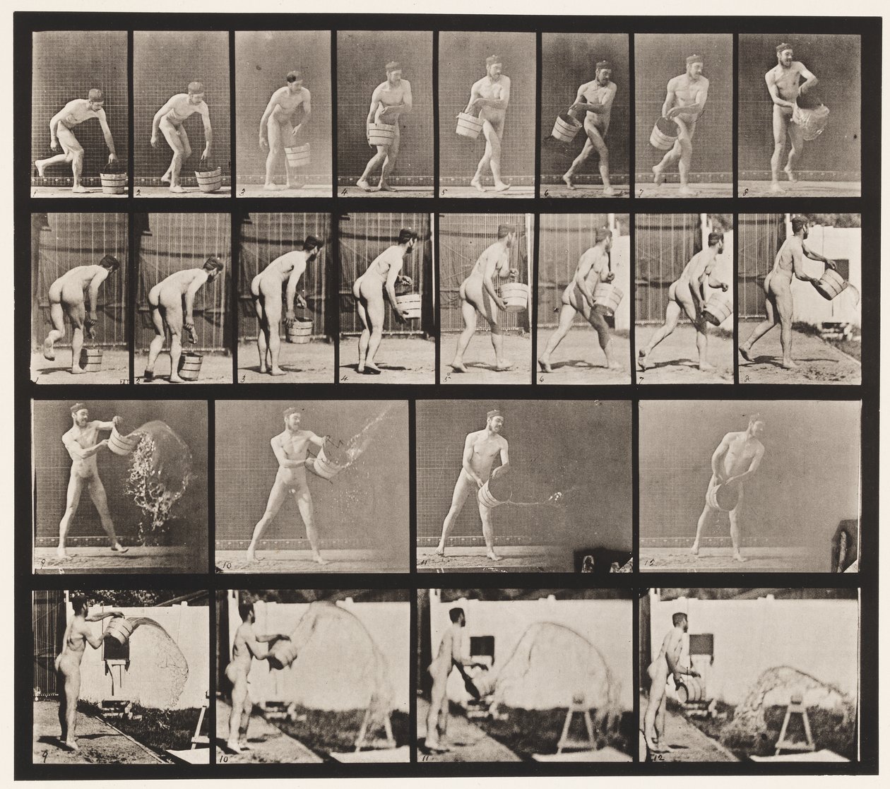 Tallerken 400. Tømmespand vand, 1872-1885 af Eadweard Muybridge