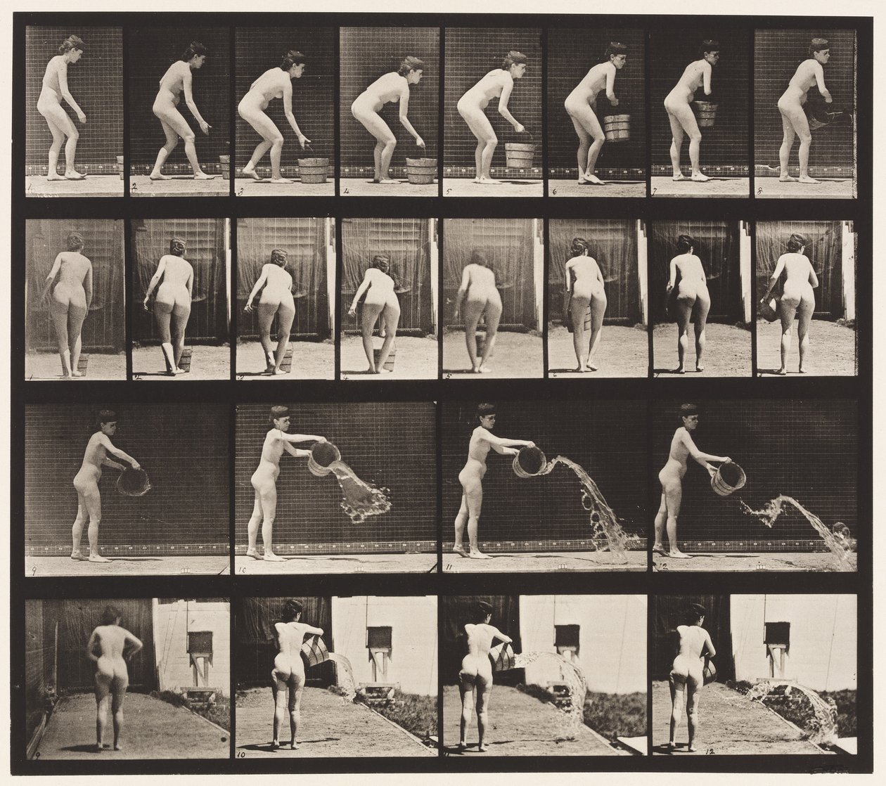 Tallerken 401. Tømmespand med vand af Eadweard Muybridge