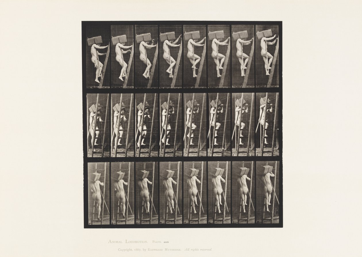 Plade 405. Bærende hånd af mursten op ad en stige, 1872-1885 af Eadweard Muybridge