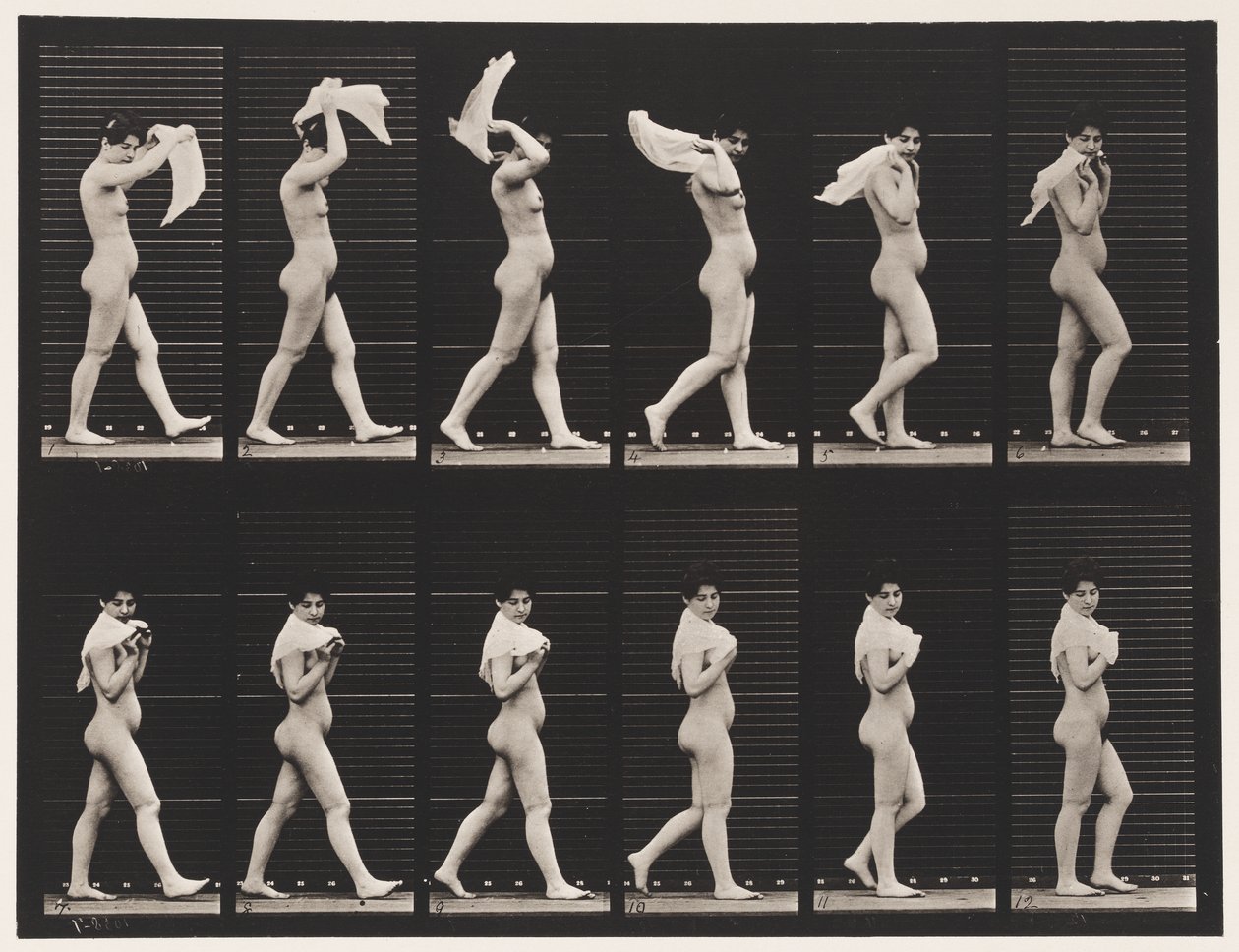 Tallerken 40. Går, kaster lommetørklæde over skuldrene af Eadweard Muybridge