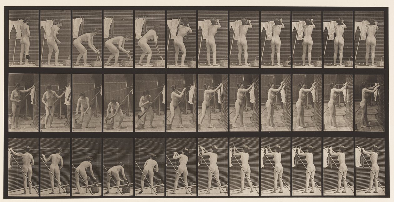 Tavle 434. Hængende tøj på line, 1872-1885 af Eadweard Muybridge