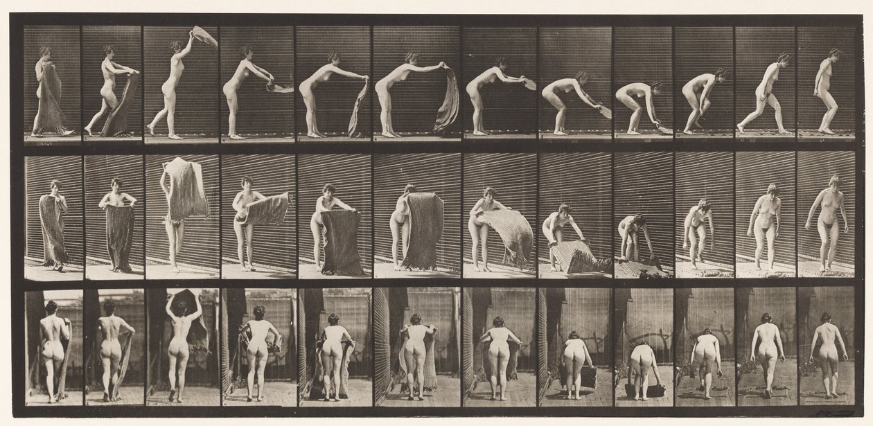 Plade 439. Spredning af et tæppe på gulvet, 1872-1885 af Eadweard Muybridge