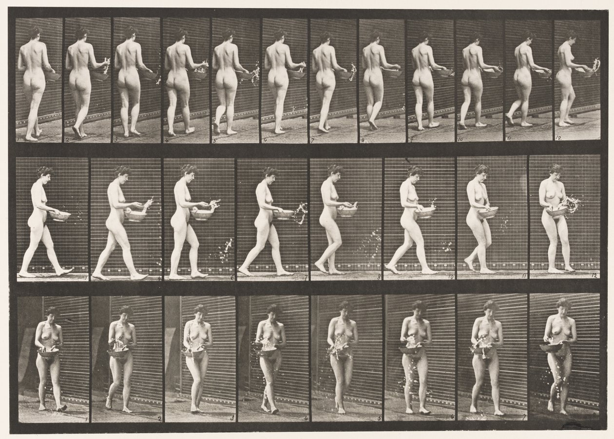 Plade 43. Gå, drysse vand fra bassinet, vende rundt af Eadweard Muybridge