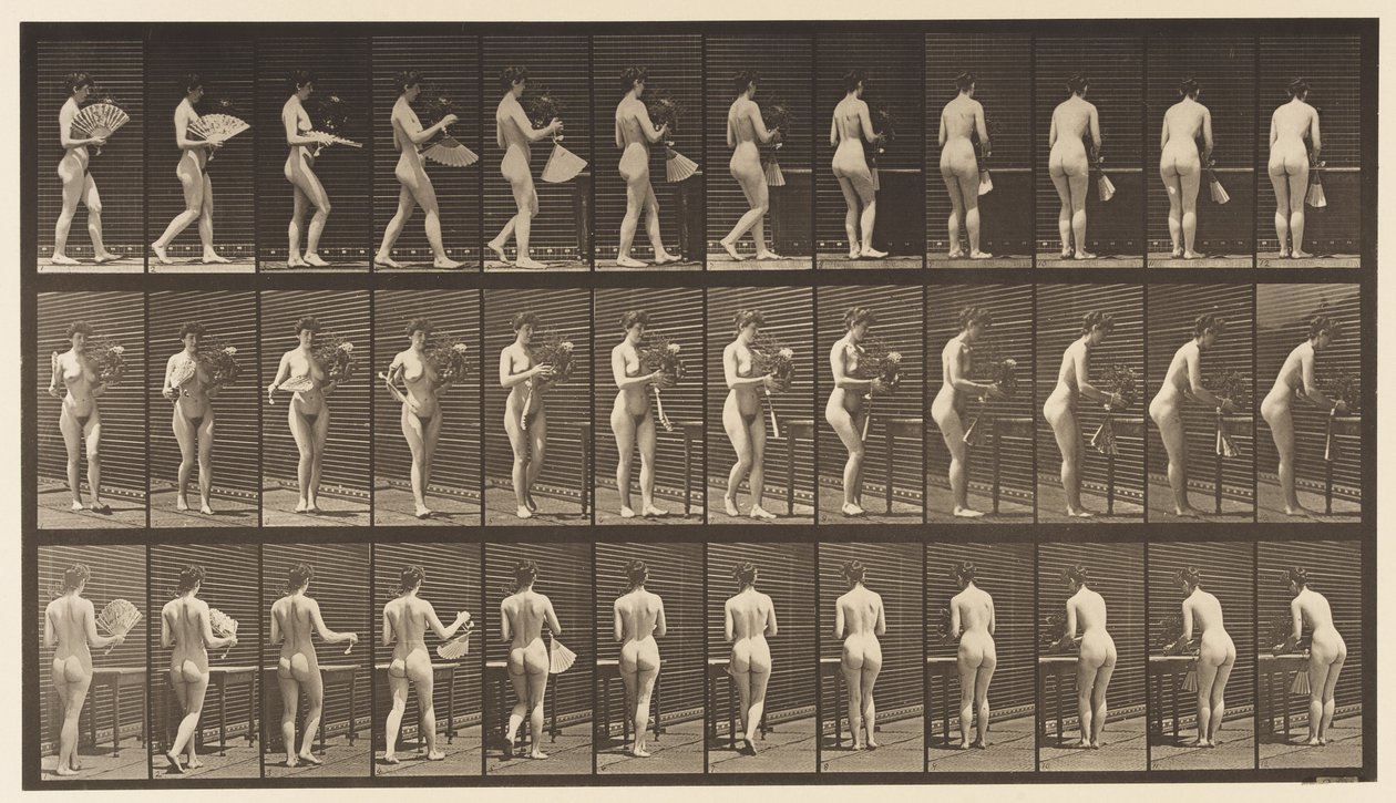 Tallerken 441. Bær vase og læg den på bordet, 1872-1885 af Eadweard Muybridge