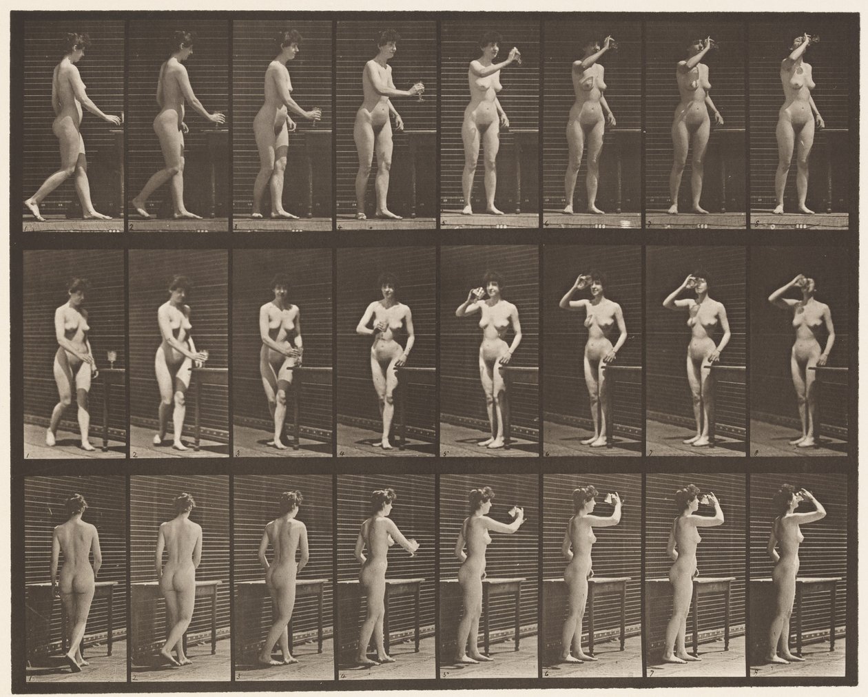 Tallerken 443. At drikke af en bæger mens man står af Eadweard Muybridge