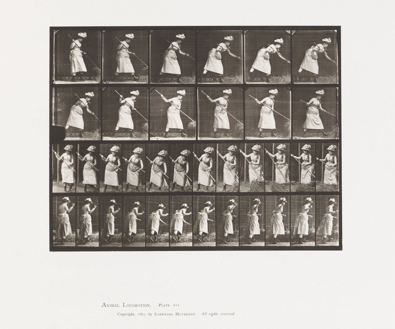 Plade 456. Rangeringen er 165 af Eadweard Muybridge