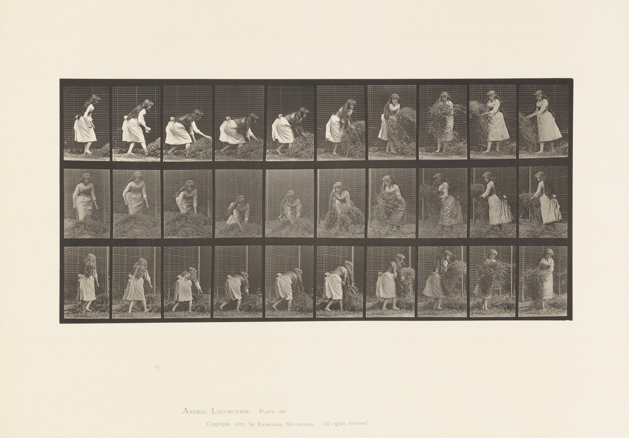 Tallerken 458. Løfte håndfulde hø, vende, kaste det ned af Eadweard Muybridge