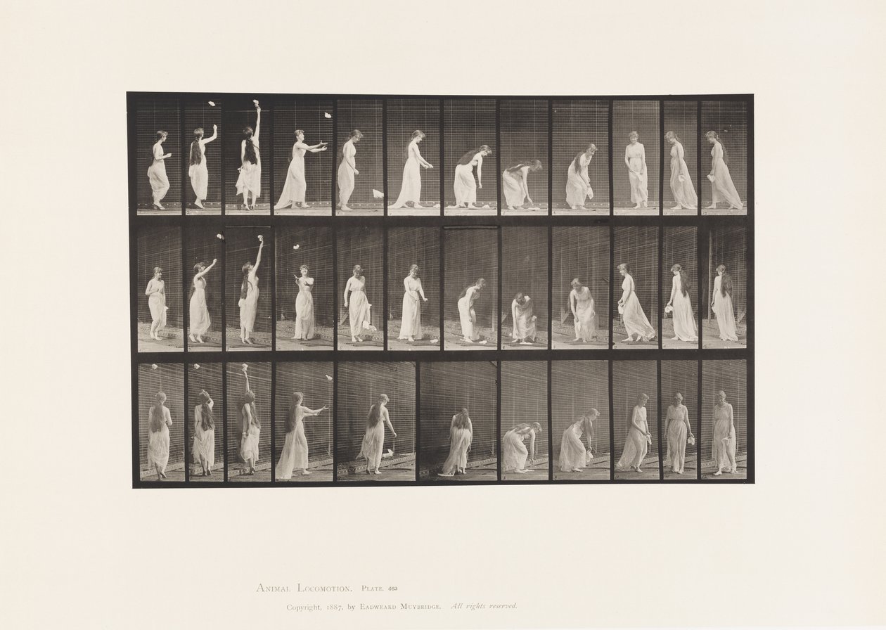 Plade 463. At række op, bøje sig og vende rundt, 1885 af Eadweard Muybridge