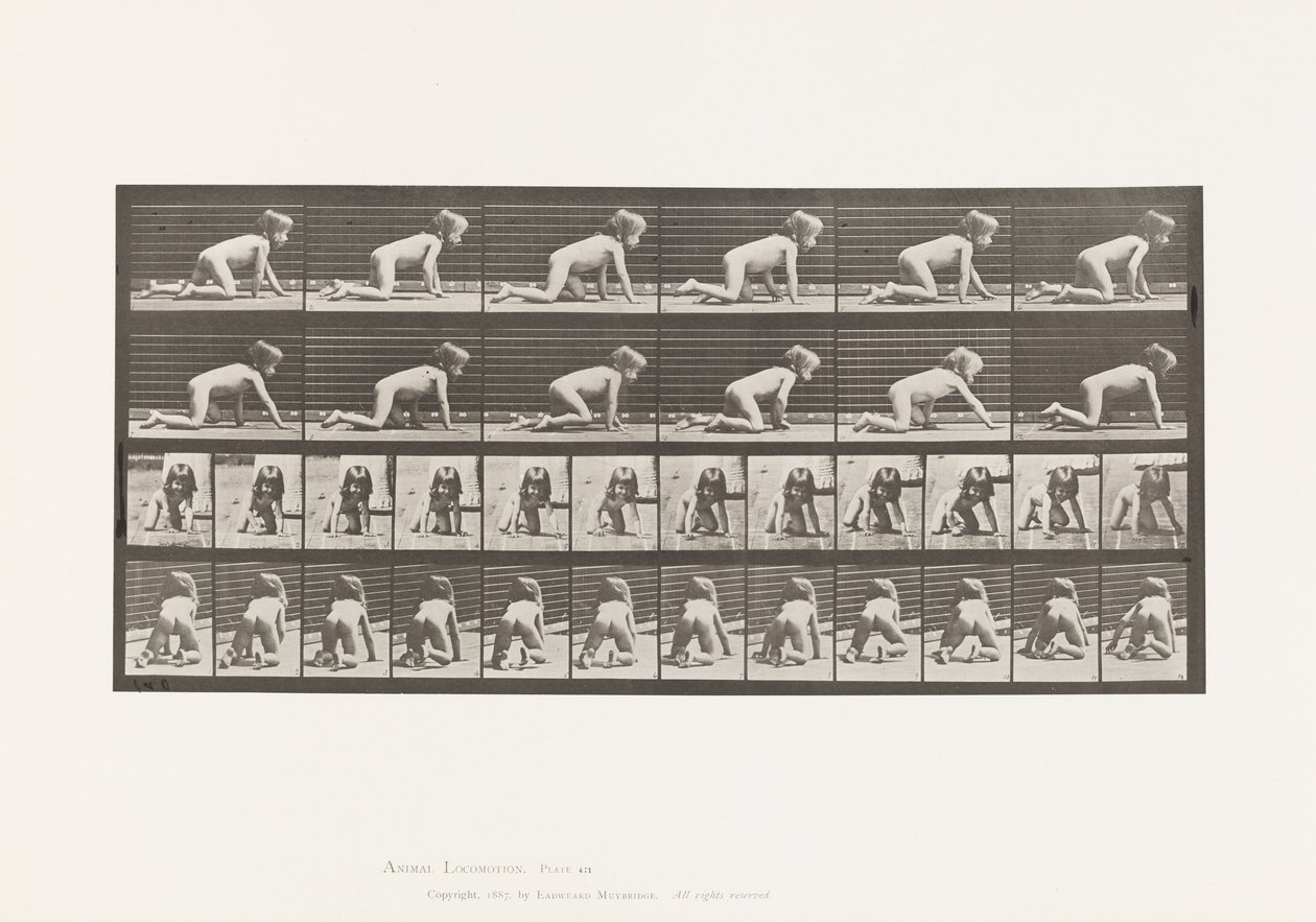 Tavle 471. Barn, kravlende på hænder og knæ, 1885 af Eadweard Muybridge