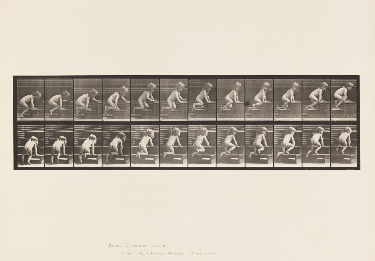 Tavle 472. Child, Crawling Upstairs, 1885 (kollotype på papir) af Eadweard Muybridge