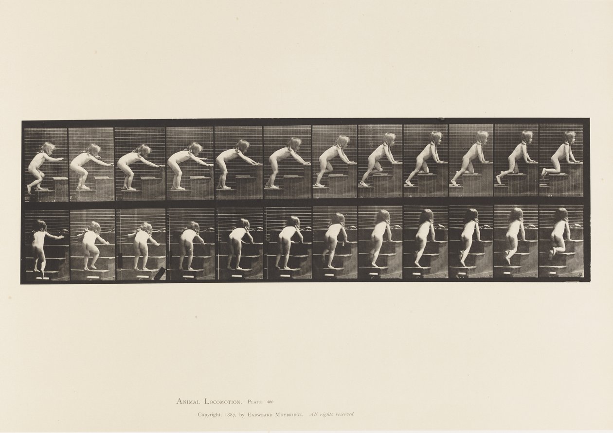 Tallerken 480. Barn, gående og kravlende ovenpå af Eadweard Muybridge