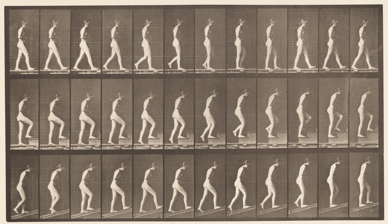Tavle 482. A, Gang; B, Opstigende Trapper; C, Stigende Hældning, 1872-1885 af Eadweard Muybridge