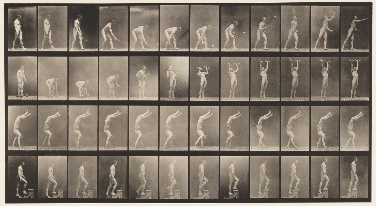Plade 488. A, Plænetennis; B, Dumb Bells; C, Går på hænder;, 1872-1885 af Eadweard Muybridge