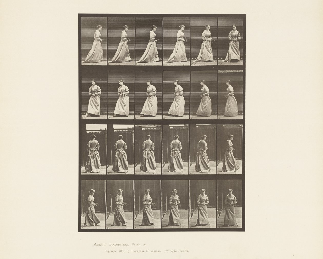 Tavle 48. Buket til at gå og vende rundt i begge hænder, 1885 af Eadweard Muybridge