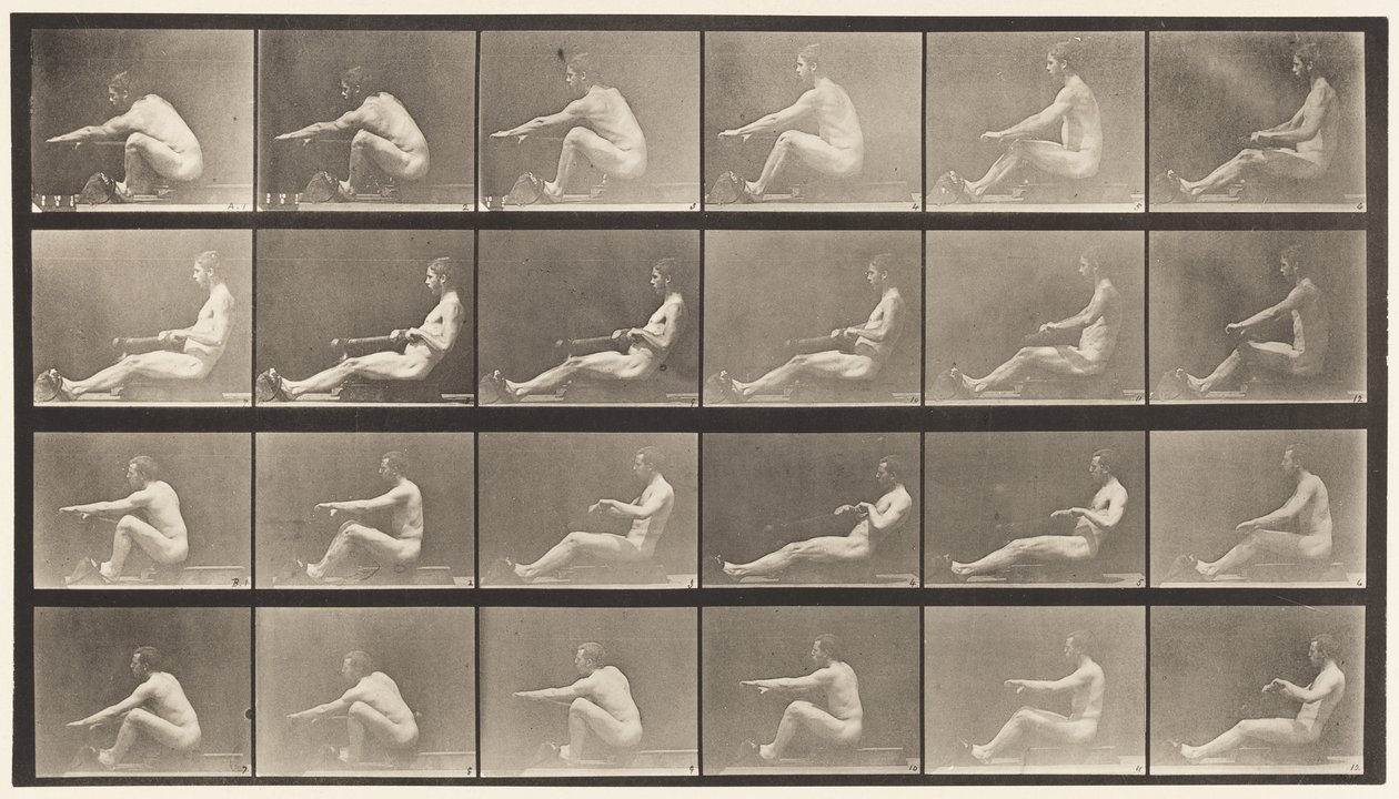 Plade 492. A af Eadweard Muybridge