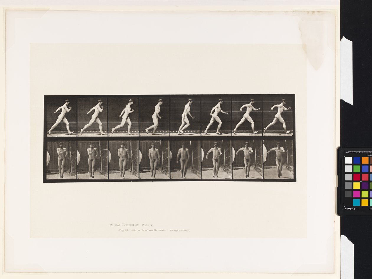 Plade 4. Gå af Eadweard Muybridge