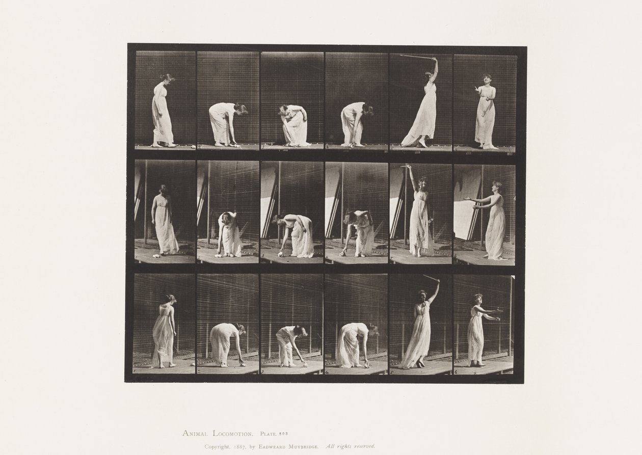 Plade 503. Diverse - Bøjning mv af Eadweard Muybridge