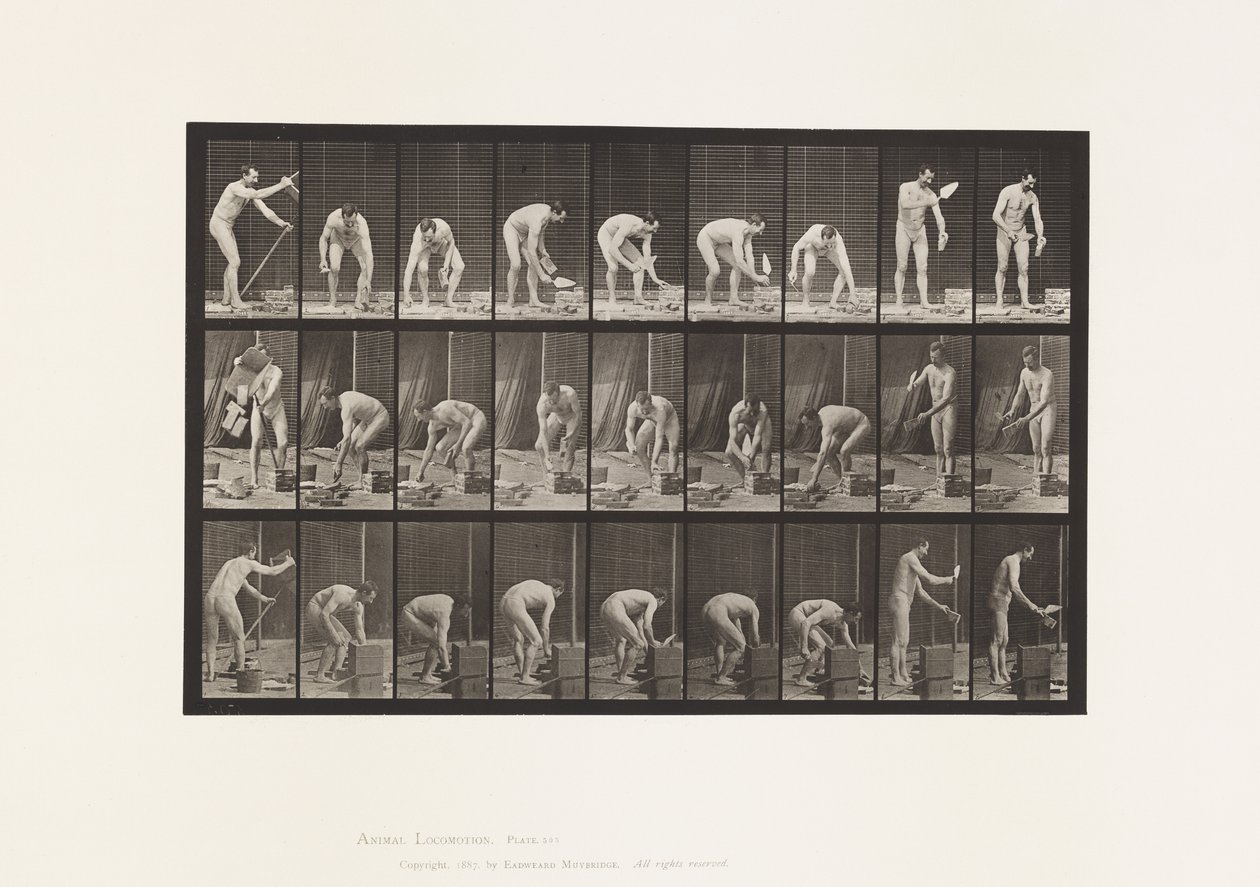 Plade 505. Murerarbejde af Eadweard Muybridge