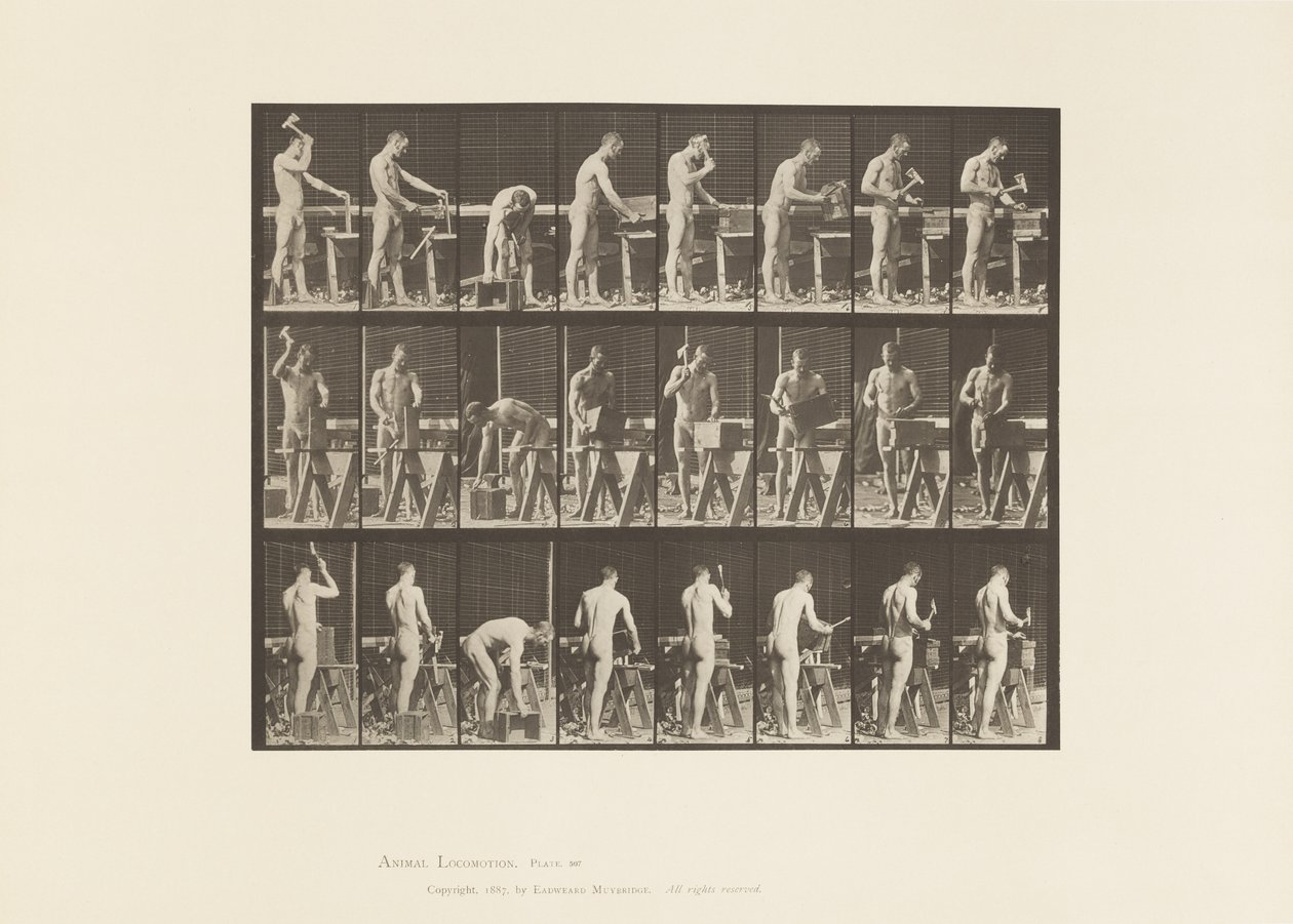 Tavle 507. Tømrerarbejde af Eadweard Muybridge
