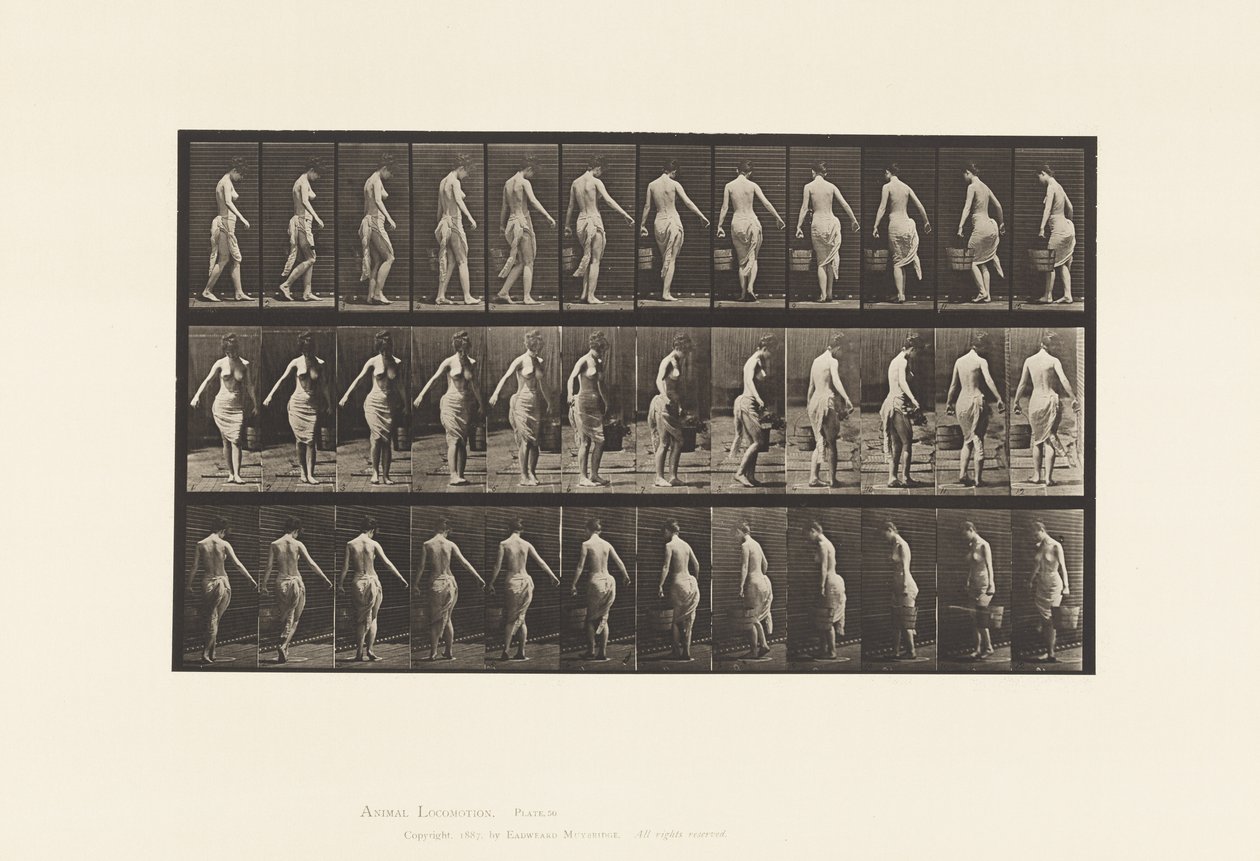 Tallerken 50. Går, bærer en spand af Eadweard Muybridge