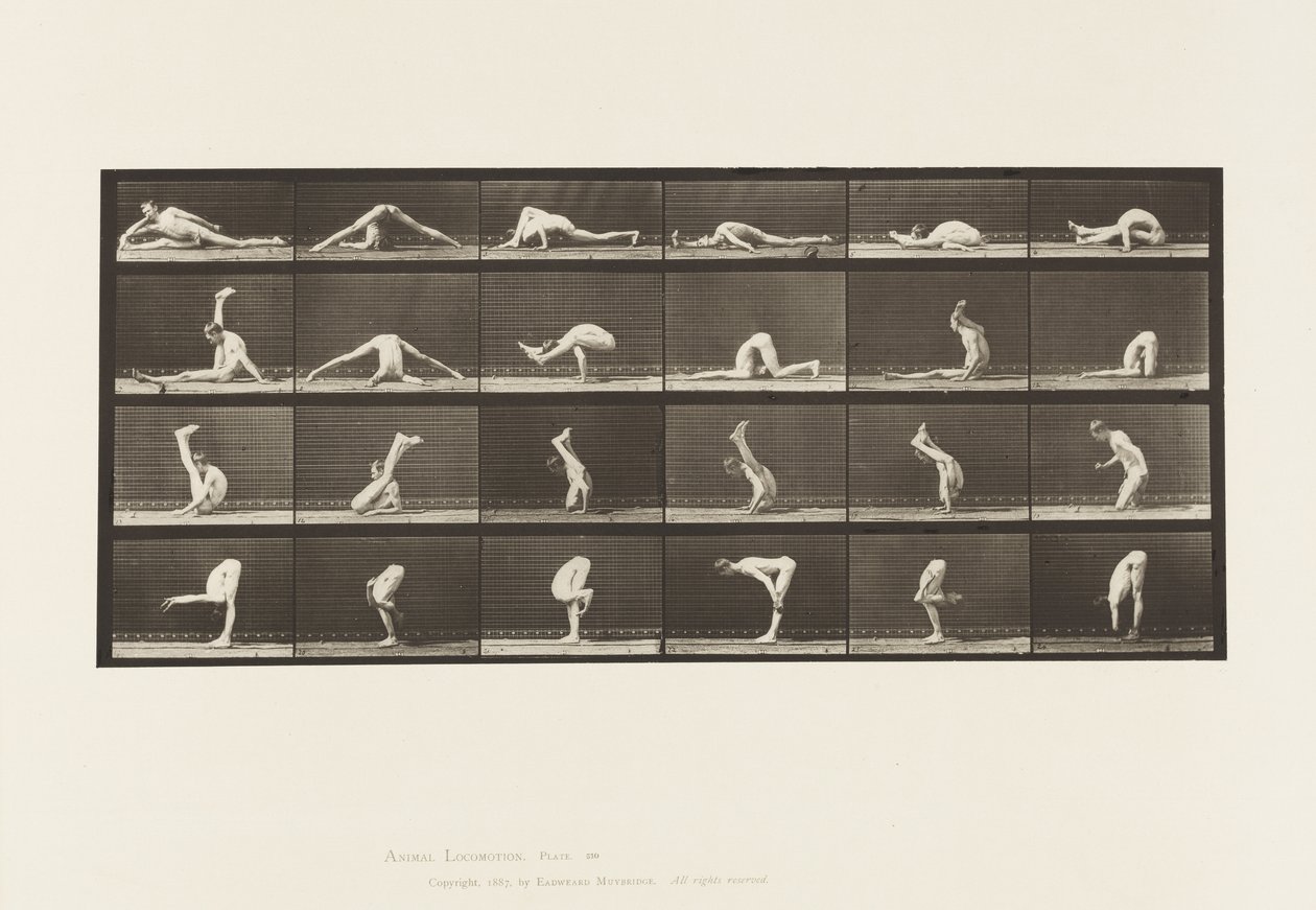 Tavle 510. Forvridninger på jorden, 1872-1885 af Eadweard Muybridge