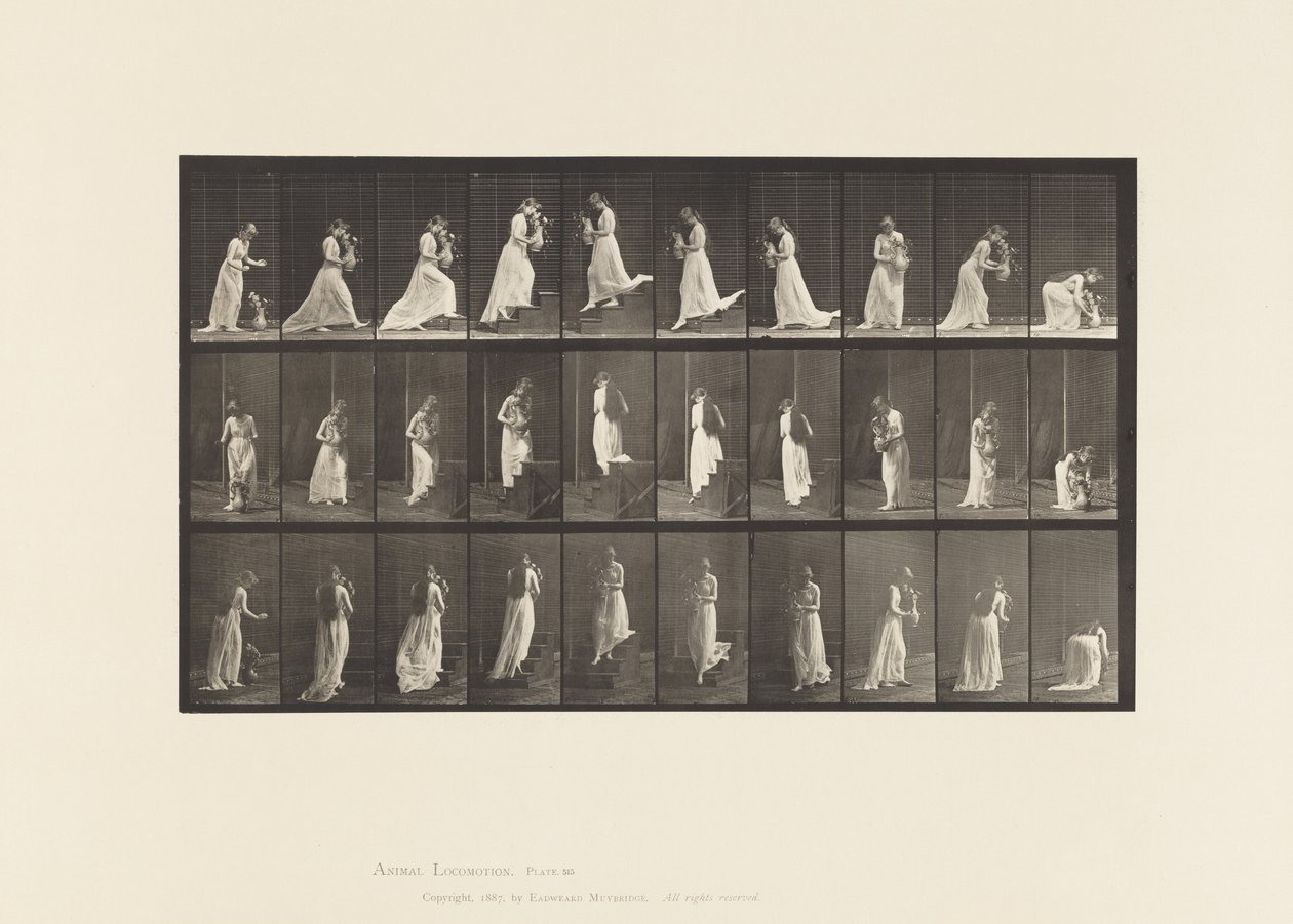 Tavle 515. Op- og nedadgående trapper osv., 1885 af Eadweard Muybridge