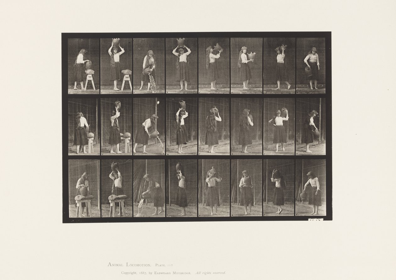 Tallerken 517. Diverse Bevægelser med Vandkrukke af Eadweard Muybridge
