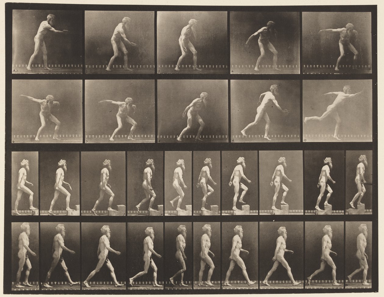 Plade 519. A, Kasteskive; B, Stigende Trin; C, Vandrende., 1872-1885 af Eadweard Muybridge