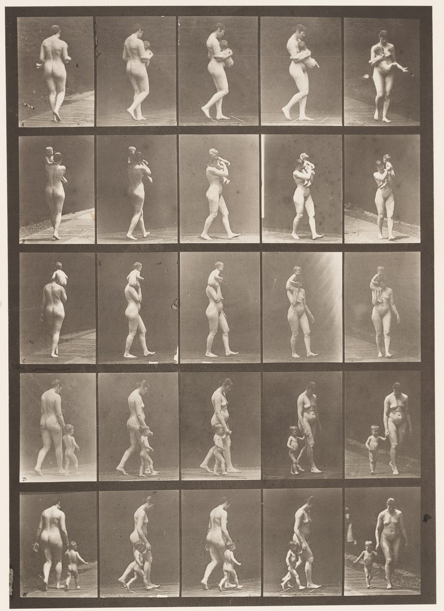 Plade 528. A,B,C af Eadweard Muybridge
