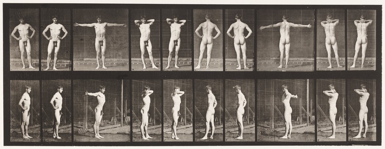 Tavle 529. Forskellige Stillinger af Eadweard Muybridge