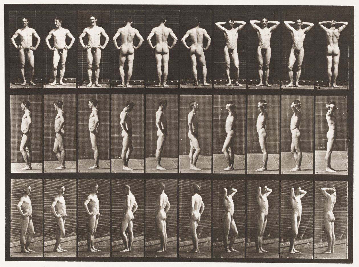 Tallerken 530. Forskellige Stillinger af Eadweard Muybridge