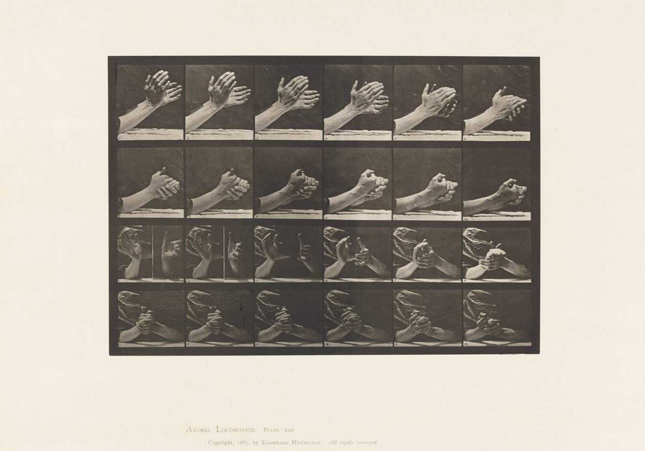 Tallerken 533. Håndens bevægelse; Klæber hænder, 1885 af Eadweard Muybridge