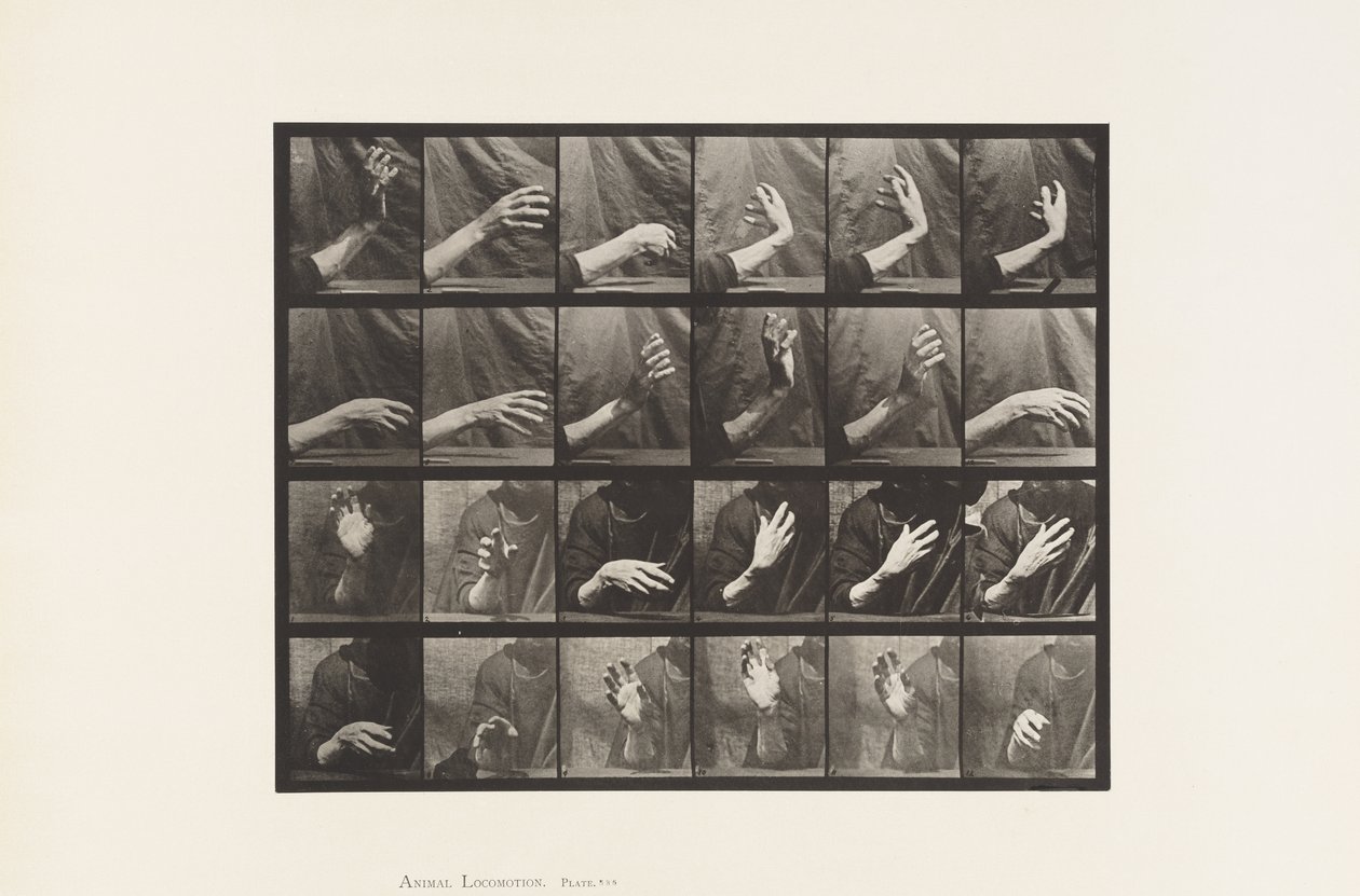 Tavle 535. Håndens Bevægelse; Beating Time, 1885 af Eadweard Muybridge