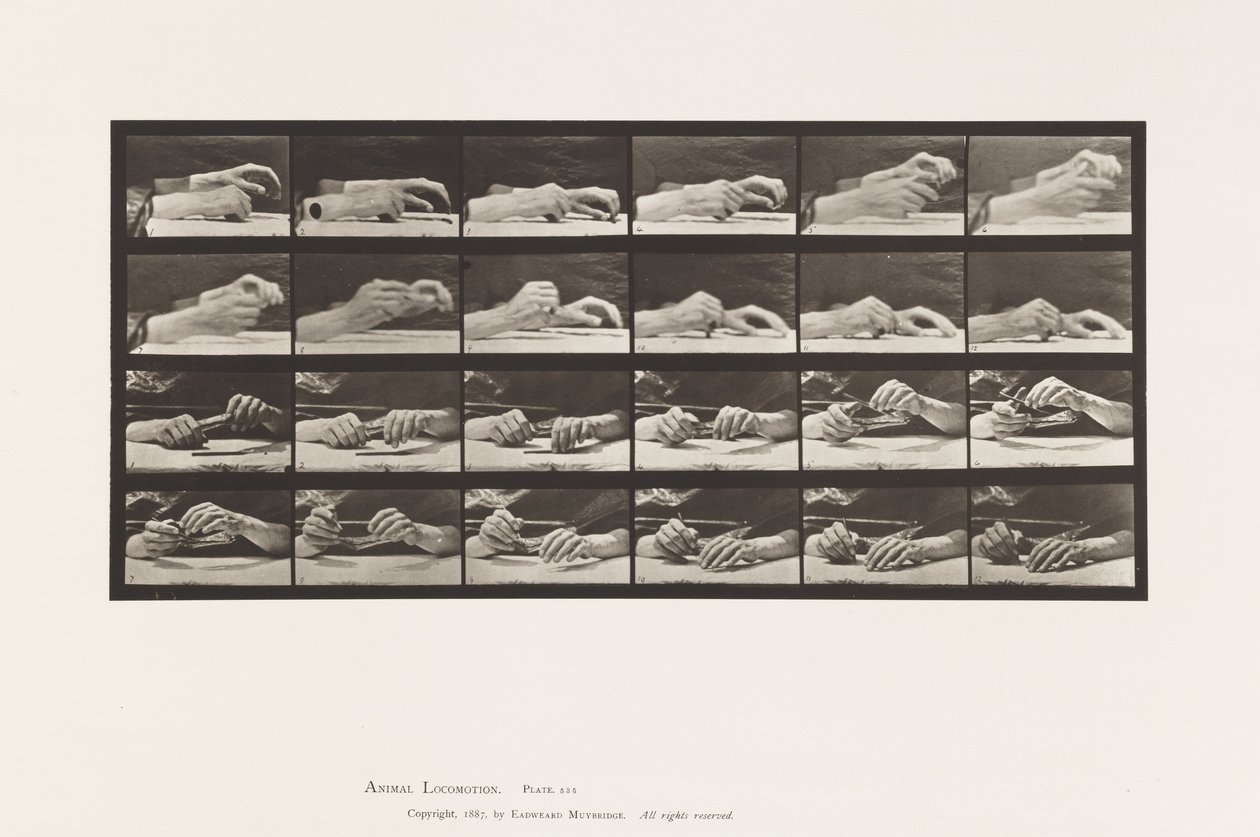 Tavle 536. Håndens Bevægelse; Hænder, der skifter blyant af Eadweard Muybridge