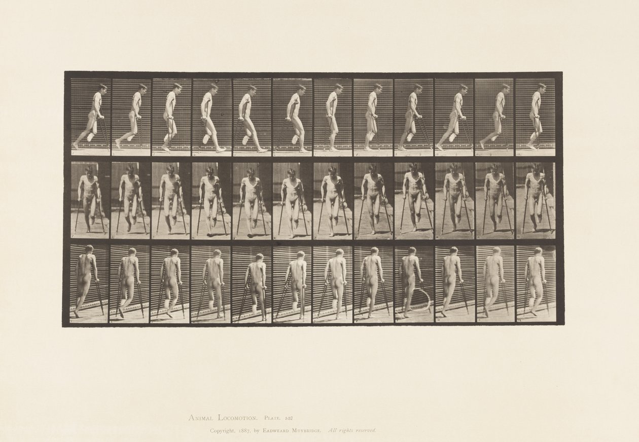 Plade 537. Enkelt amputation af ben; Hopper med krykker af Eadweard Muybridge