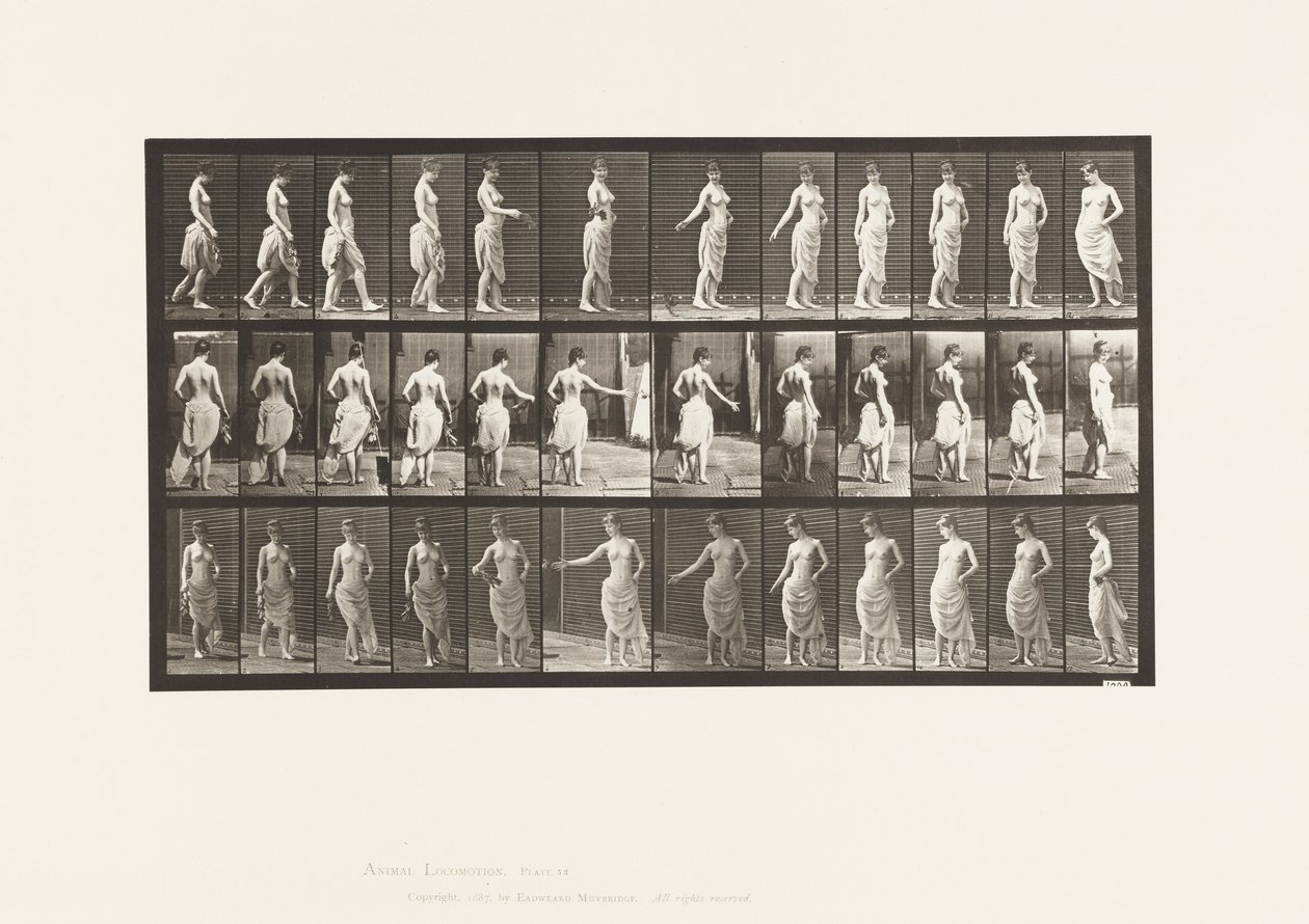 Plade 53. Gå, sprede blomster og vende handling af Eadweard Muybridge