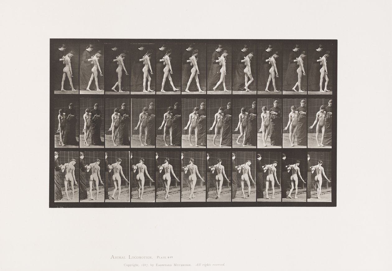 Plade 541. Multipel Cerebro-Spinal Sklerose (Choreic); Gåture af Eadweard Muybridge