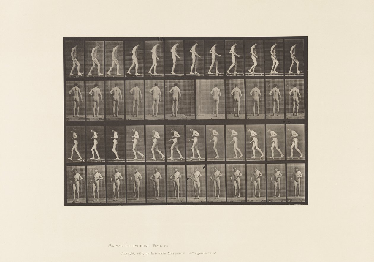 Plade 548. Lateral sklerose; A,B, Vandring, 1885 af Eadweard Muybridge